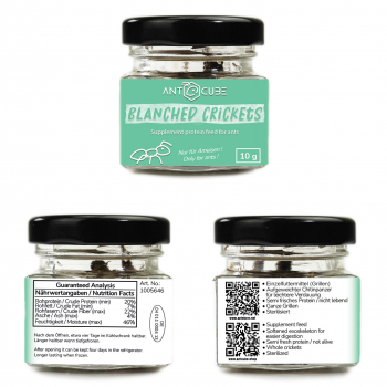 Blanched Whole Crickets